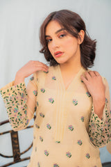 Gul- Beige Embroidered Organza 2-Pc Suit with Slip