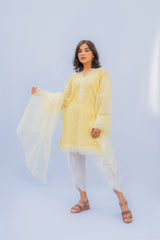 Pastel Yellow Chikan Shirt with Slip