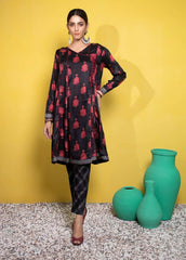 Meira - Printed Linen Stitched 2 Piece Suit